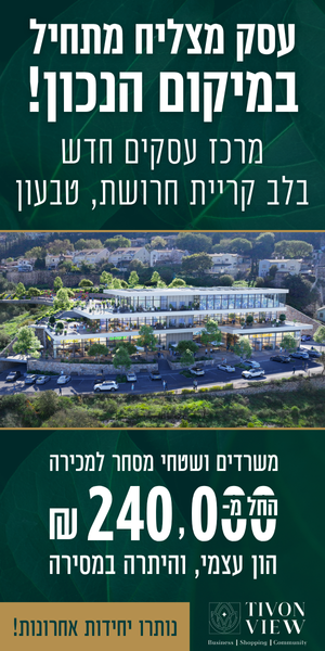 TIVON-GOOGLE-300X600