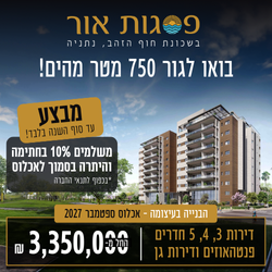 PO-Natanya-Google-250X250